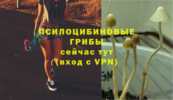 скорость mdpv Алзамай